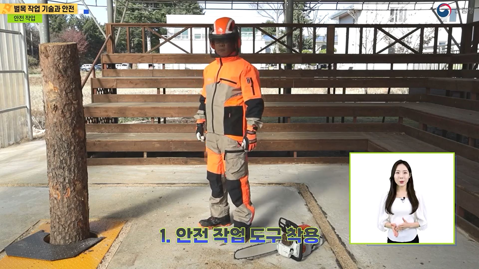 벌목 작업 기술과 안전
