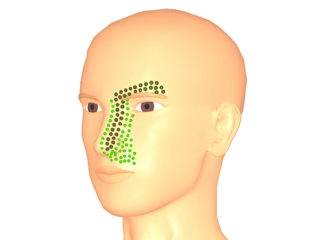 안윤근_좌