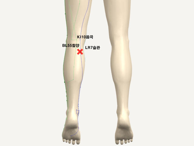 ���������(������������1)_��� 통증유발점