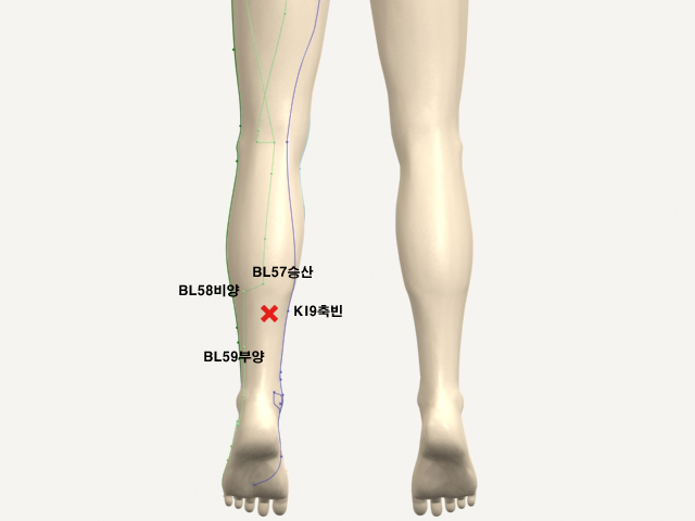 ������������(������������1)_��� 통증유발점