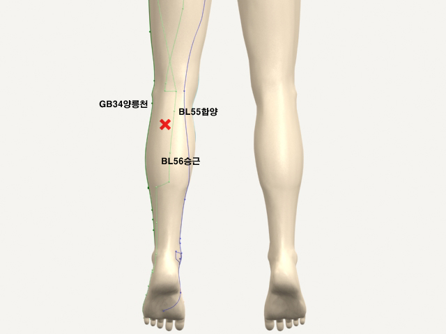 ������������(������������2)_��� 통증유발점