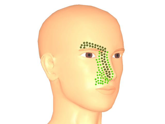 안윤근_우