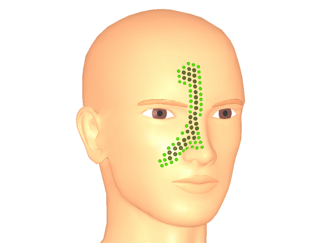 대관골근_우