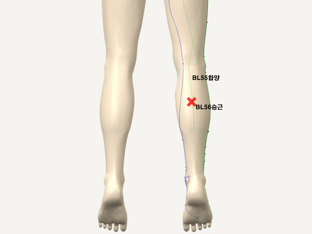 ������������_��� 통증유발점