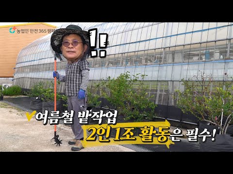 (’24 영상 공모전 대상 수상작) 아내의 옷 단속